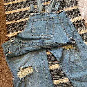 Wild Fable Distressed Overalls